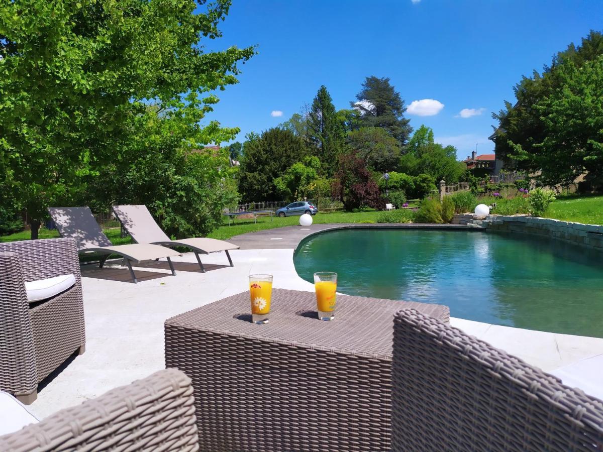 La Fee Des Eaux Bed & Breakfast Vernaison Exterior photo