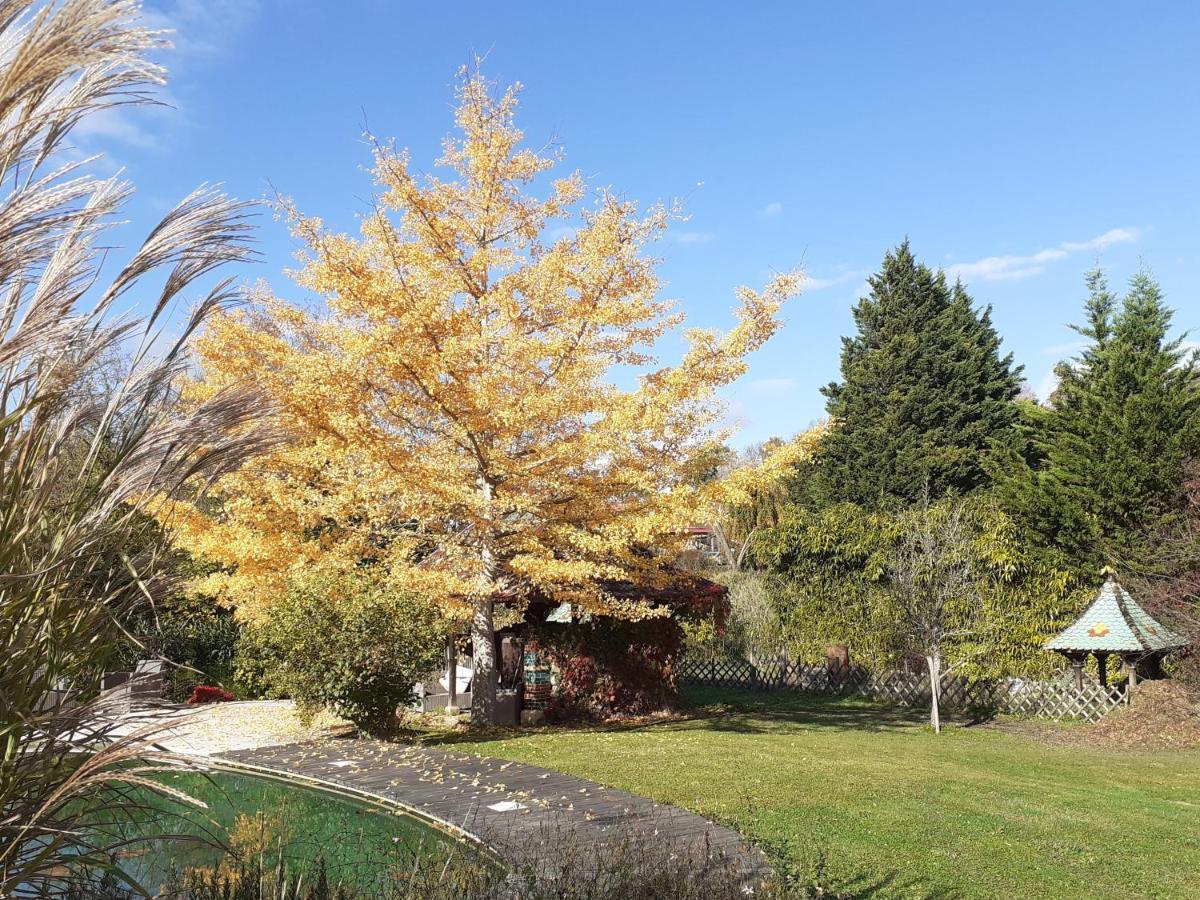 La Fee Des Eaux Bed & Breakfast Vernaison Exterior photo